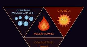 Por que só a Terra tem fogo?