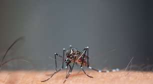 Dengue no Rio Grande do Sul: número recorde de mortes em 2024