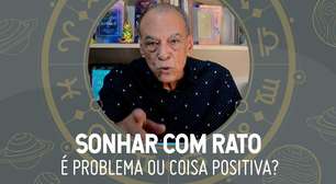 Sonhar com rato: João Bidu explica o significado