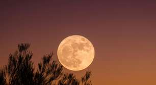Lua Cheia mais poderosa do ano chega com grandes transformações