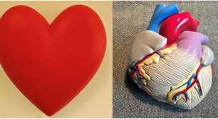Por que o símbolo de coração não tem nada a ver com o órgão?