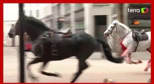 Cavalos fogem e deixam feridos no centro de Londres