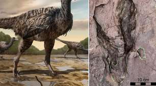 Cientistas encontram pegadas gigantescas de um novo tipo de dinossauro na China