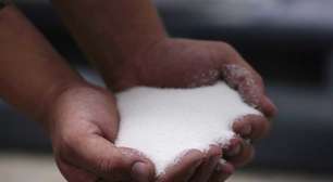 Conab prevê produção recorde de açúcar do Brasil em 24/25 mesmo com safra de cana menor