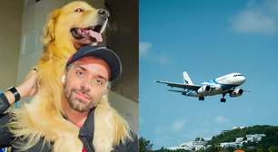 Morte de Joca reacende a discussão sobre o transporte aéreo de animais