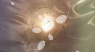 Celular é associado a infertilidade masculina; entenda