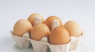 Empresa de ovos orgânicos capta R$ 50 milhões em rodada internacional
