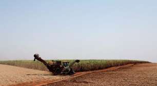 Produção de açúcar do centro-sul do Brasil cresce 31% na 1ª quinzena, acima da expectativa