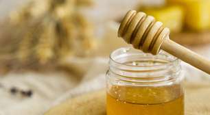 Como as abelhas fabricam o mel?