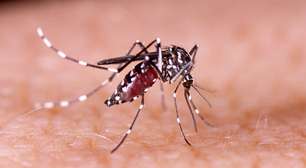 RS registra 109 mortes por dengue em 2024