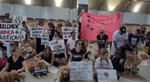 Após morte de Joca, tutores se manifestam em aeroportos de todo o país; veja vídeo
