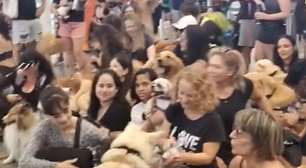 Aeroportos registram atos em protesto pela morte do cão Joca; veja vídeos