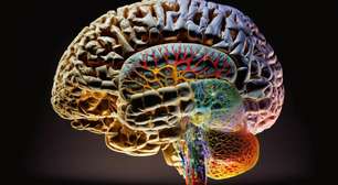 Cerebelo mostra função inédita em novo estudo