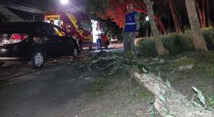 Perigo! Galho de árvore cai e atinge mulher que voltava para casa depois do trabalho em Curitiba