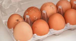 Como saber se um ovo está estragado? Especialista explica