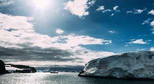Por que insolação está afetando animais e plantas na Antártida