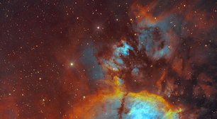 Destaque da NASA: Nebulosa Cabeça de Peixe é a foto astronômica do dia