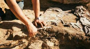 Fósseis falsos de dinossauros: o que novo estudo revela