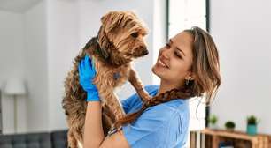 8 sinais para levar o seu animal ao veterinário