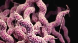 Molécula produzida por bactérias do intestino pode tratar gripe