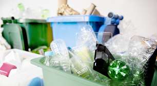 Quiz: você está reciclando da forma correta? Teste os seus conhecimentos!