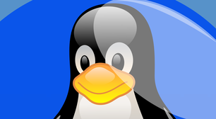 Linux é instalado e funciona em máquina com 4 MB de RAM