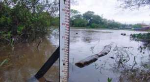 Nível do rio Guaíba em Porto Alegre diminui e água cessa de avançar