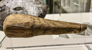 Item de madeira de 2 mil anos pode ser objeto sexual mais antigo