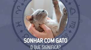 João Bidu explica sonhos com gatos: o que significa?