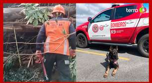 Cadelas dos bombeiros encontram corpo de adolescente desaparecida no RS; veja