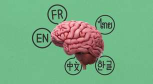 O que acontece com seu cérebro quando você aprende um novo idioma