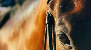 Cavalgada do Bem percorrerá cidade de Osório em busca de doações