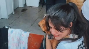Mulher chora ao reencontrar cachorro perdido durante enchentes no RS; veja