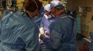 Primeiro paciente a receber rim de porco em transplante morre após dois meses