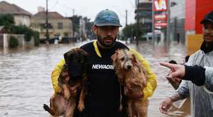 Como ajudar os animais do RS?