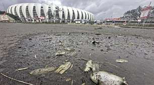 Tragédia no RS: peixes mortos são encontrados no entorno do Estádio Beira-Rio; veja
