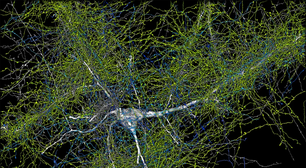 Google e Harvard desenvolvem mapa interativo do cérebro