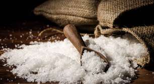 Veja como o consumo correto de sal favorece a saúde