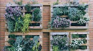 4 dicas para montar um jardim vertical em casa