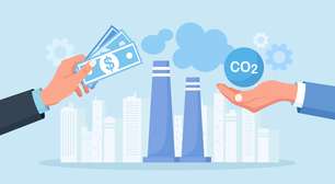 Você também pode compensar as emissões de CO2 geradas por seu consumo; saiba como