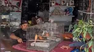 Mais de 60 animais trancados em pet shop alagado em Porto Alegre são resgatados; veja registros