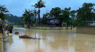Chuvas em SC causam enchentes, deixam desabrigados e cidades em alerta