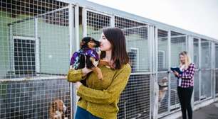 8 maneiras de ajudar abrigos de animais