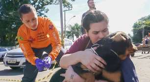 Curitibana que atuou nas enchentes aponta a diferença no resgate de animais de grande e pequeno porte