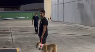 Henrique e Juliano 'sequestram' cachorro de Nattan após cantor dormir em noite de bebedeira: 'São loucos'