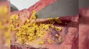 Consumidora de Porto Alegre encontra "pó amarelo" dentro de peça de carne