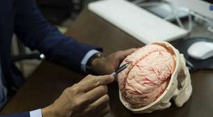 Sangramento no cérebro: como e por que acontece?
