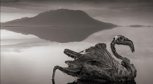 Conheça o lago misterioso que mata e petrifica animais na Tanzânia