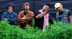 Planet Hemp lança clipe da faixa 'Jardineiro'