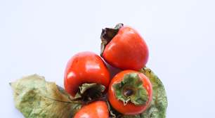 Alimentos de outono: 10 frutas e legumes saborosos e nutritivos